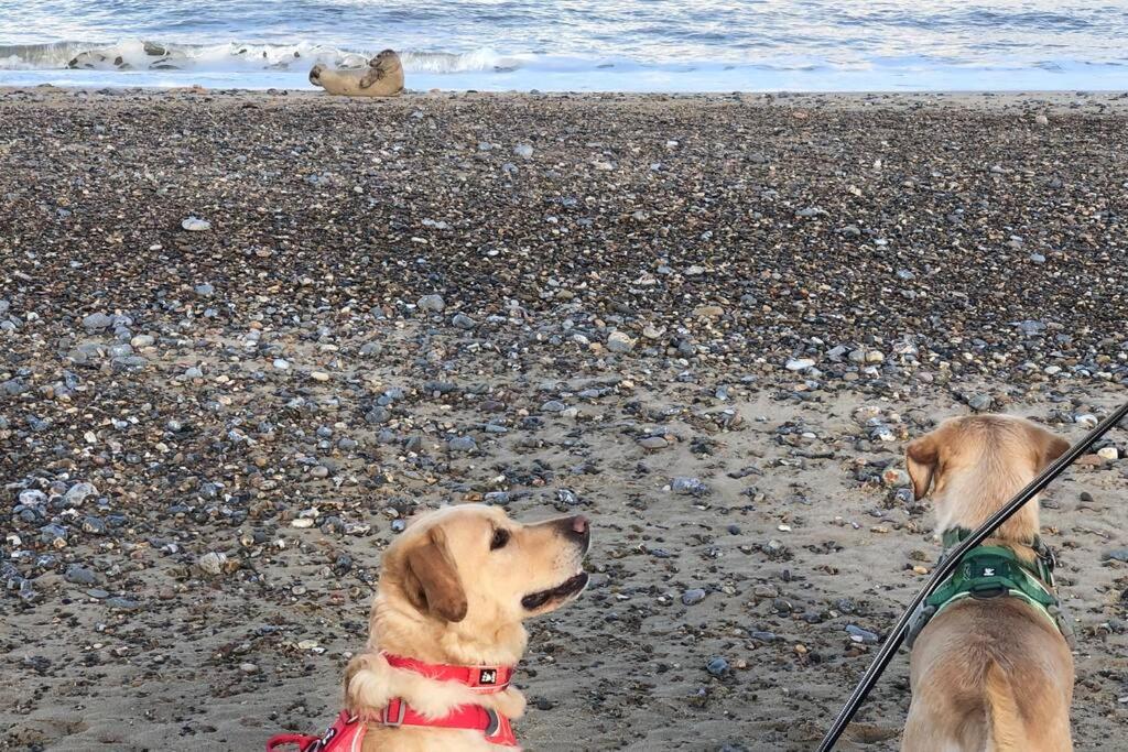 Dog Friendly Cottage 2 Mins To Beach With Hot Tub And Zappi Ev Lessingham Extérieur photo