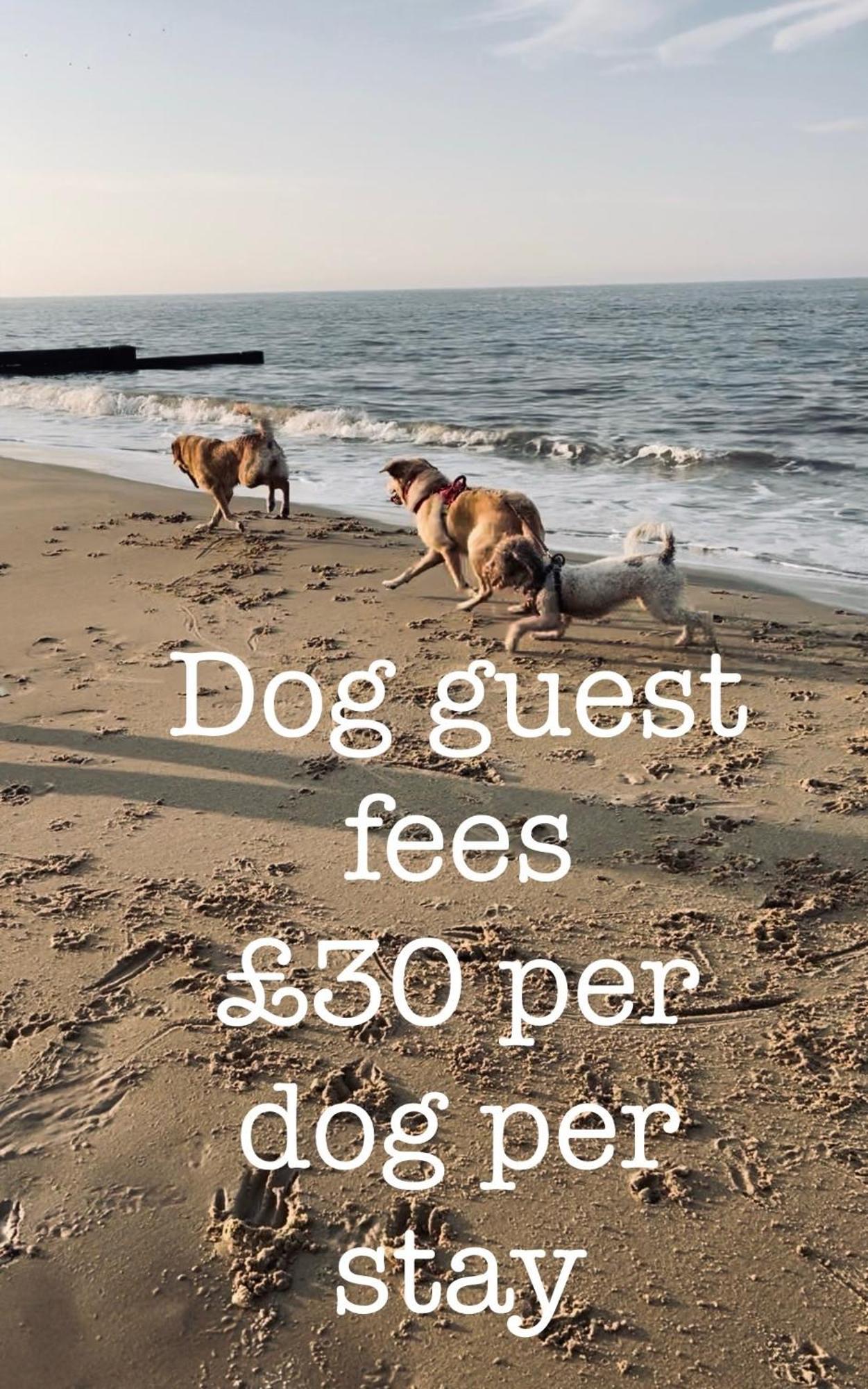 Dog Friendly Cottage 2 Mins To Beach With Hot Tub And Zappi Ev Lessingham Extérieur photo